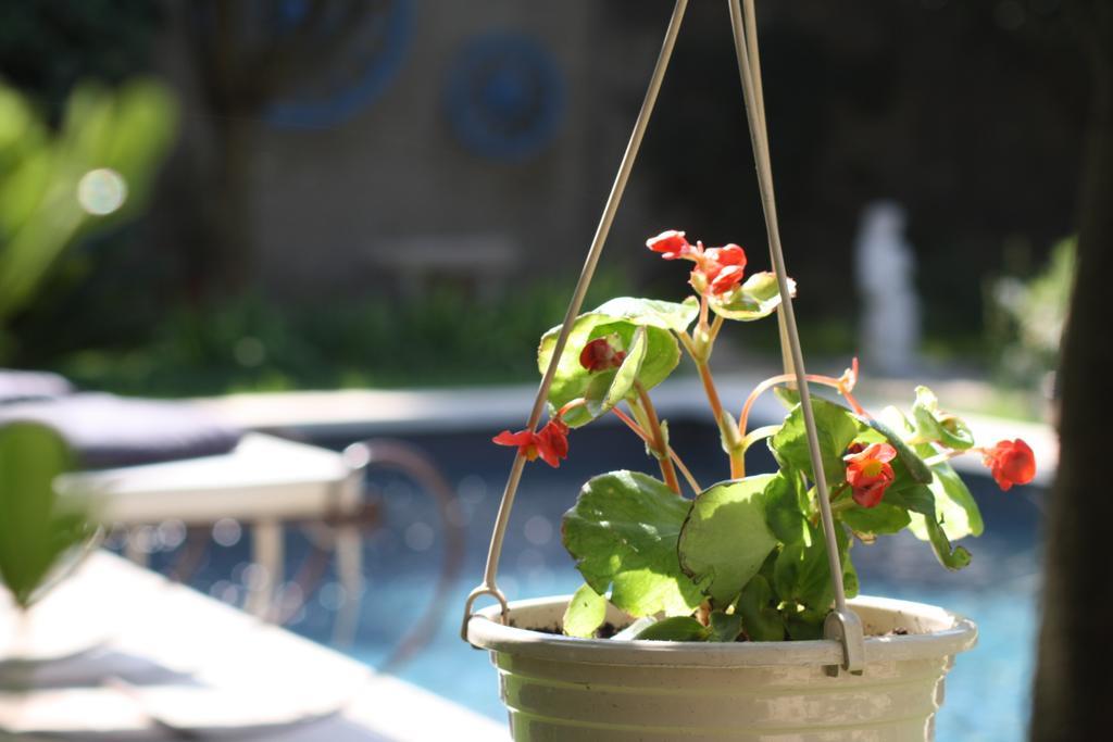 L'Abri Du Poete Bed and Breakfast Besse-sur-Issole Exteriör bild