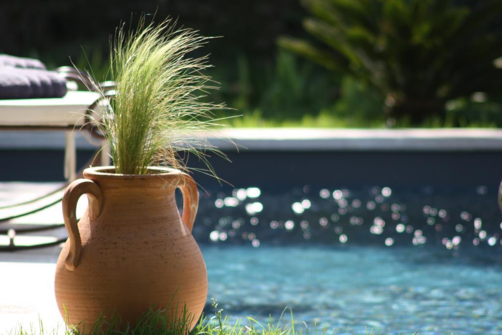 L'Abri Du Poete Bed and Breakfast Besse-sur-Issole Exteriör bild