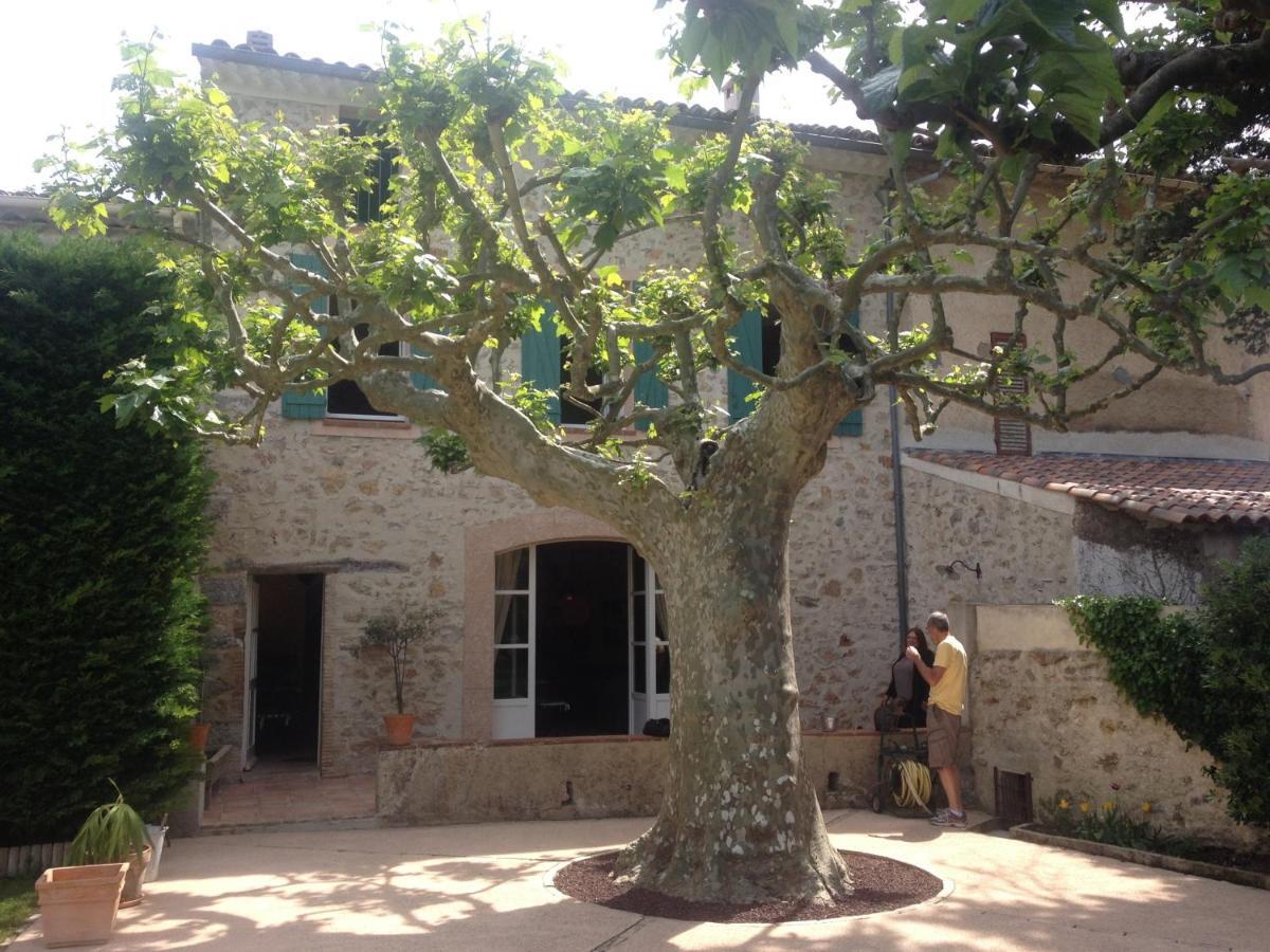 L'Abri Du Poete Bed and Breakfast Besse-sur-Issole Exteriör bild